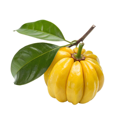 Garcinia Cambogia